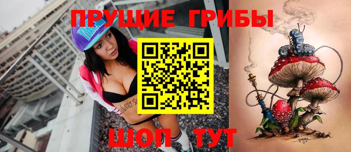 Галлюциногенные грибы Cubensis  Вход с VPN  Железноводск 